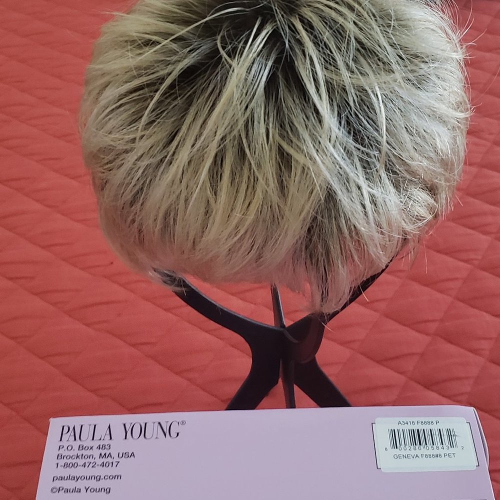 Paula Young Wig